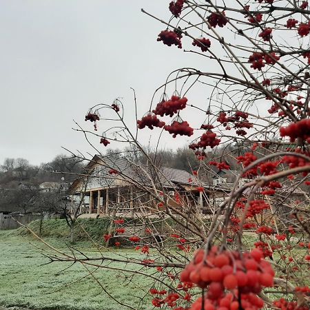 Гостьовий Дім На Герцена Guest Hous On Gertsena Hotel Novhorod-Siverskyi Bagian luar foto