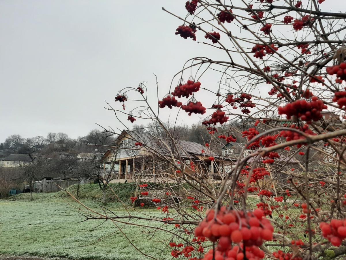 Гостьовий Дім На Герцена Guest Hous On Gertsena Hotel Novhorod-Siverskyi Bagian luar foto