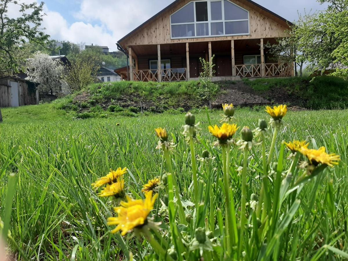 Гостьовий Дім На Герцена Guest Hous On Gertsena Hotel Novhorod-Siverskyi Bagian luar foto